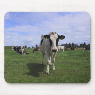Tapis De Souris Vaches