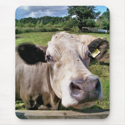 TAPIS DE SOURIS VACHES (Devant)