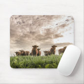 Tapis De Souris Vaches (Avec souris)