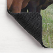 Tapis De Souris Vaches dans une rangée (Coin)