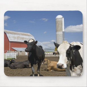 Tapis De Souris Vaches devant une grange rouge et un silo dans une