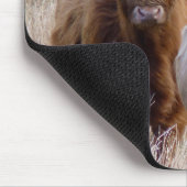 Tapis De Souris Vaches écossaises des Highlands (Coin)