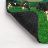 Tapis De Souris Vaches Holstein-Friesian près de Borris, Comté (Coin)