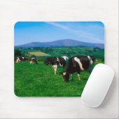Tapis De Souris Vaches Holstein-Friesian près de Borris, Comté (Avec souris)