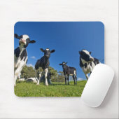 Tapis De Souris Vaches se nourrissant de pâturages (Avec souris)