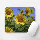 Tapis De Souris Van Gogh en Provence Mousepad (Avec souris)