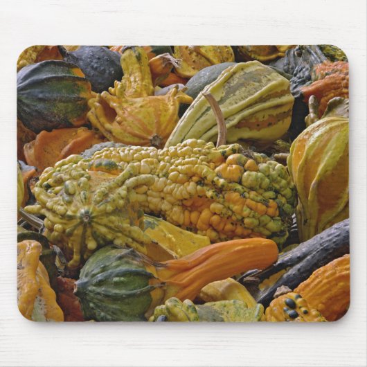 Tapis De Souris Variété de courge (Devant)