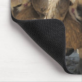 Tapis De Souris Vautour de griffon (Coin)