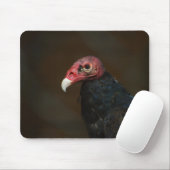 Tapis De Souris Vautour de Turquie (Avec souris)