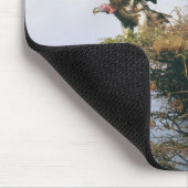 Tapis De Souris Vautour nicheur Mousepad (Coin)