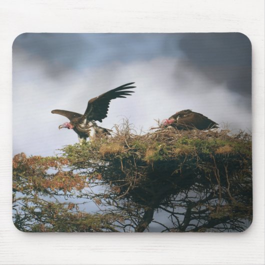 Tapis De Souris Vautour nicheur Mousepad (Devant)