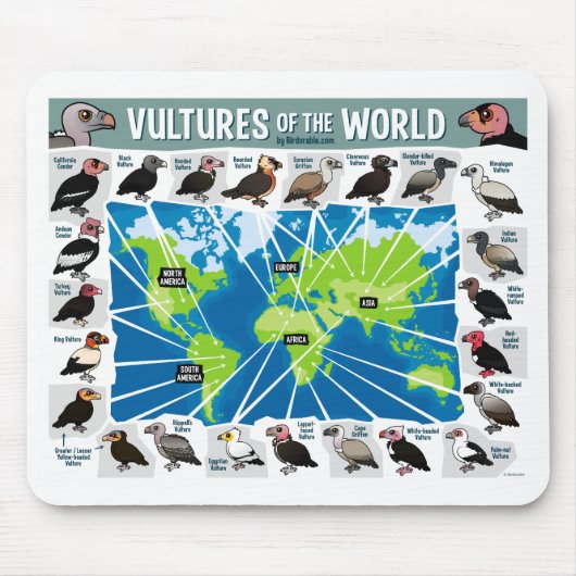 Tapis De Souris Vautours de la carte du monde (Devant)