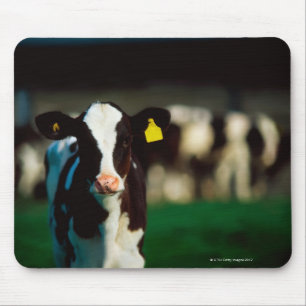 Tapis De Souris Veau de frison du Holstein