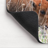 Tapis De Souris Veaux de bison (Coin)