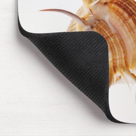 Tapis De Souris Vénus Comb Murex shell (Murex pectin) contre (Coin)