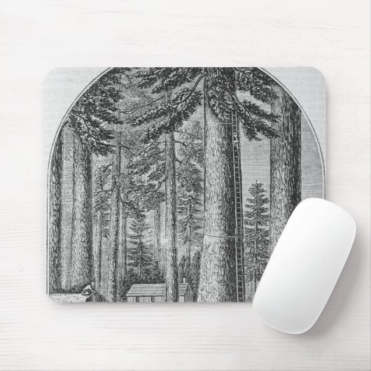Tapis De Souris Verger gigantesque d'arbre dans la vallée du (Avec souris)
