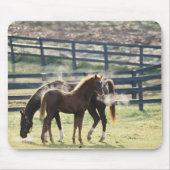 Tapis De Souris Vermont, États-Unis (Devant)