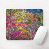Tapis De Souris Vermont Foliage (Avec souris)
