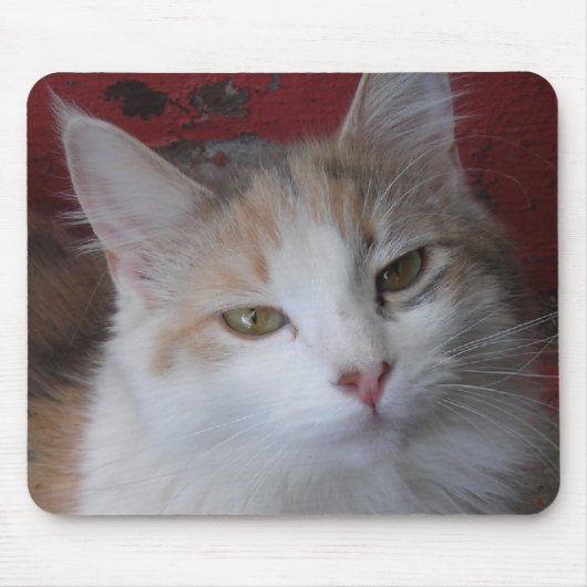 Tapis De Souris Veronica le beau -Mousepad (Devant)