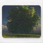 Tapis De Souris Vert et or Mousepad (Devant)