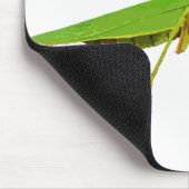 Tapis de souris vert géant de mante de prière (Coin)