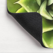 Tapis De Souris Vert Succulent Gros Plan Cactus (Coin)