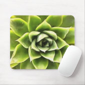Tapis De Souris Vert Succulent Gros Plan Cactus (Avec souris)