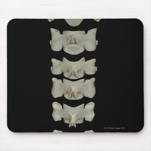 Tapis De Souris Vertèbre cervicale (Devant)
