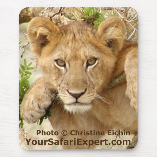 Tapis De Souris Verticale Mousepad de CUB de lion (Devant)