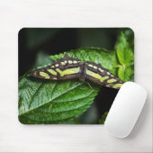 Tapis De Souris Vibrant Mousepad vert (Avec souris)