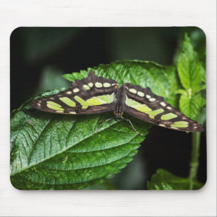 Tapis De Souris Vibrant Mousepad vert