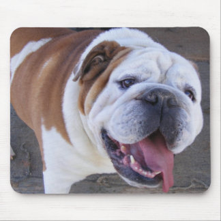 Tapis De Souris Vieux bouledogue anglais
