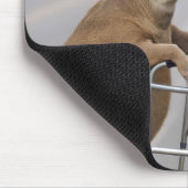 Tapis De Souris Vieux cerf penché sur un marcheur (Coin)