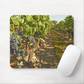 Tapis De Souris vignes de Cabernet Sauvignon alignées dans le (Avec souris)