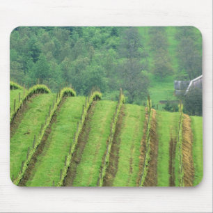 Tapis De Souris Vignobles de raisin près de Newberg Oregon