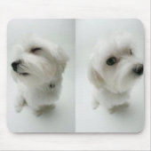 Tapis De Souris vilain-chiots (Devant)