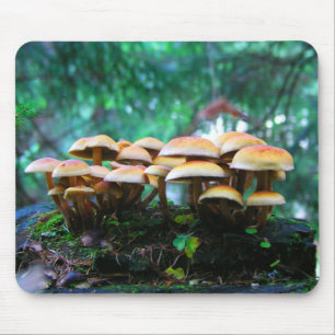 Tapis De Souris village de champignons
