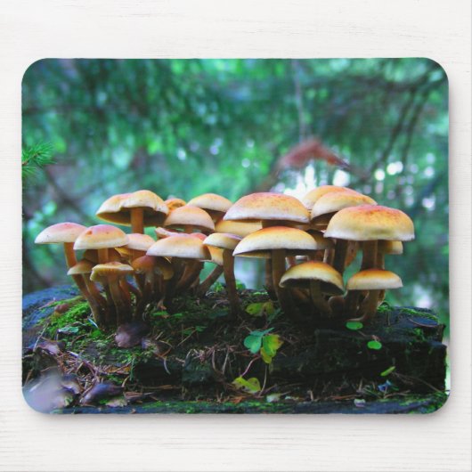 Tapis De Souris village de champignons (Devant)