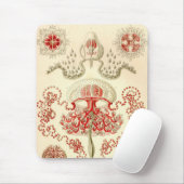Tapis De Souris Vintage Haeckel (Avec souris)