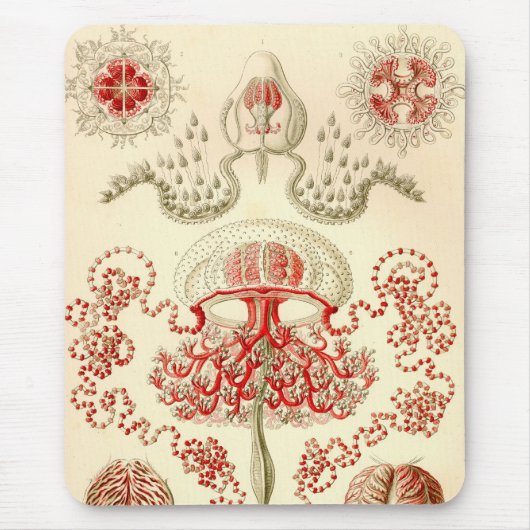 Tapis De Souris Vintage Haeckel (Devant)