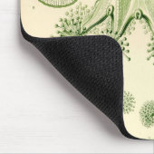 Tapis De Souris Vintage Haeckel (Coin)