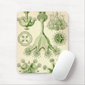 Tapis De Souris Vintage Haeckel (Avec souris)