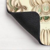 Tapis De Souris Vintage Haeckel (Coin)