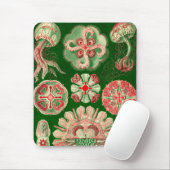 Tapis De Souris Vintage Haeckel (Avec souris)