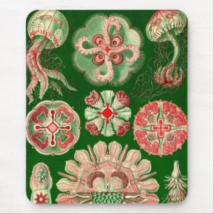 Tapis De Souris Vintage Haeckel