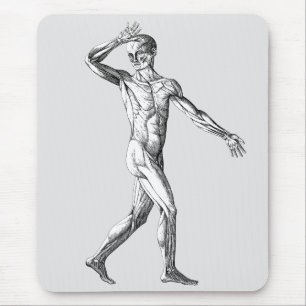 Tapis De Souris Vintage Human Anatomy, Male Body Muscles