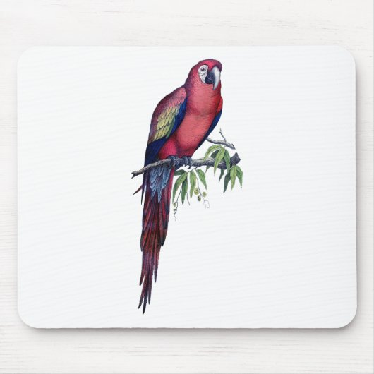 Tapis De Souris Vintage Macaw Bird (Devant)