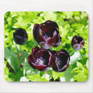 Tapis De Souris Vintage Néerlandais Violet Vert Tulipe Noire Photo