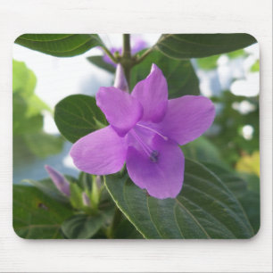 Tapis De Souris Violet pourpre philippin