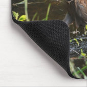 Tapis De Souris Virginia Deer Fawn Bébé Animal Faune Photo (Coin)